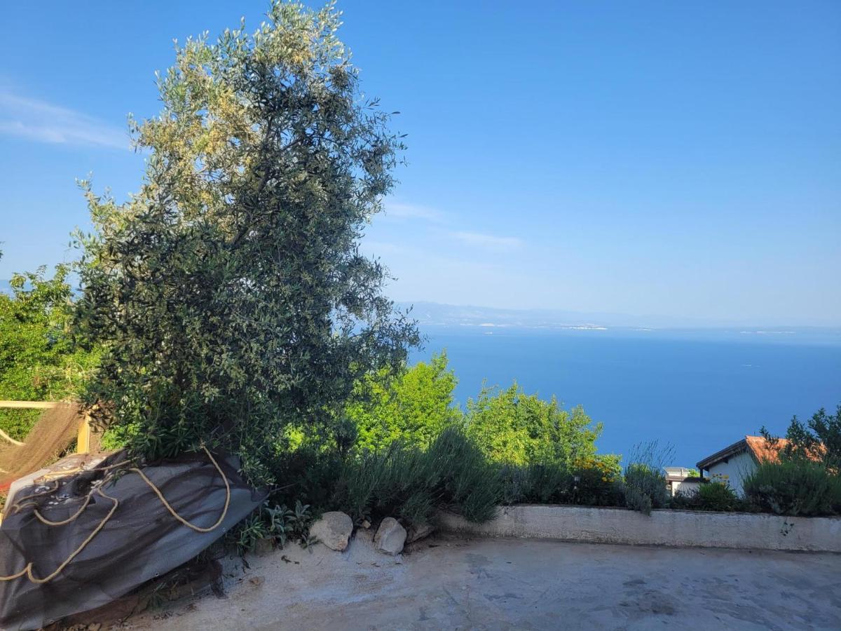 Ferienwohnung Mit Pool Kroatien Mit Meerblick Und Pool لوفغان المظهر الخارجي الصورة