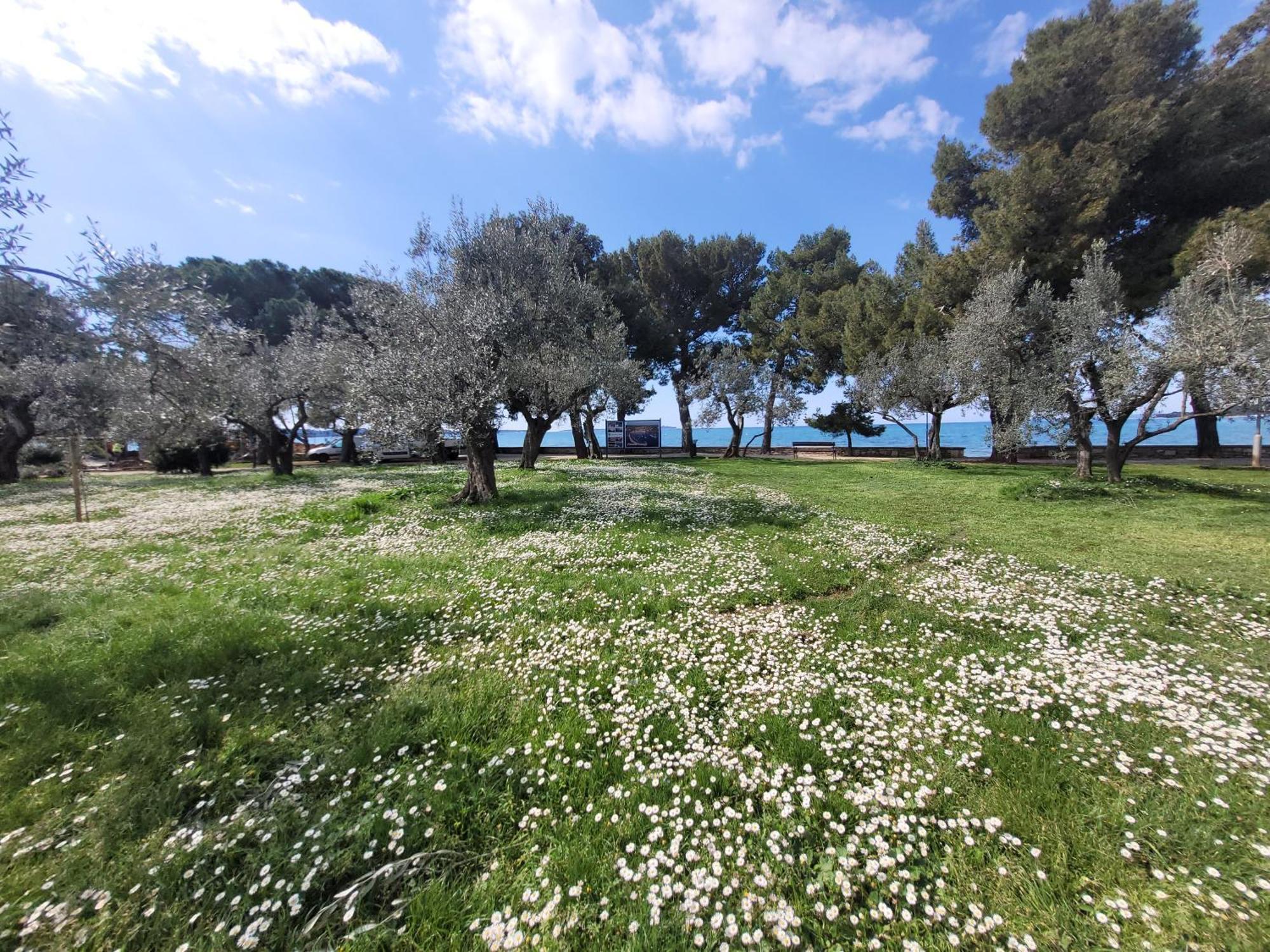 Ferienwohnung Mit Pool Kroatien Mit Meerblick Und Pool لوفغان المظهر الخارجي الصورة